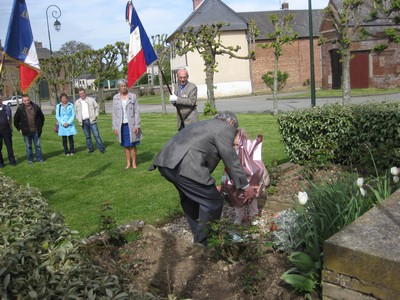 IMG 01