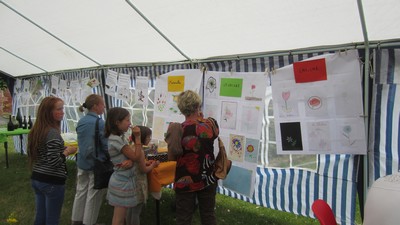 IMG 07