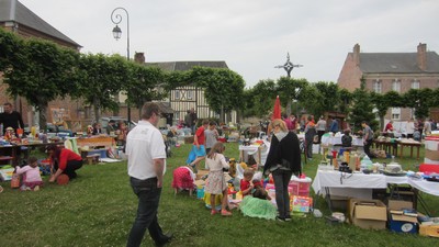 IMG 08