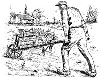 jardinage
